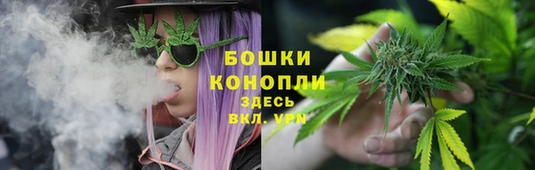 эйфоретик Нея