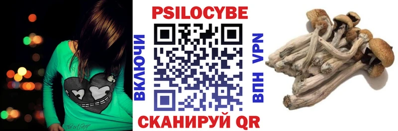 где найти наркотики  Приморск  Галлюциногенные грибы мицелий 