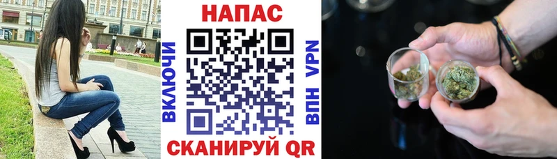 Конопля Bruce Banner  даркнет клад  Приморск  купить наркотик 